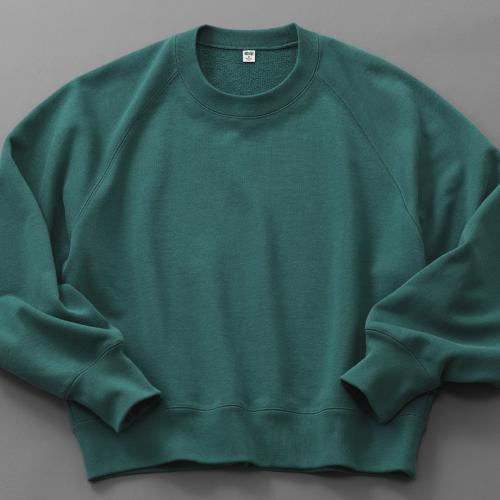 Sweatshirt66